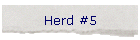 Herd #5