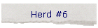 Herd #6