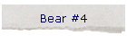 Bear #4