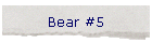 Bear #5