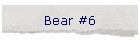 Bear #6