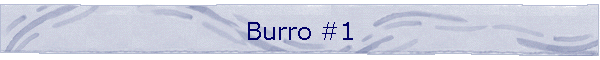 Burro #1