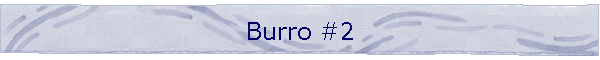 Burro #2