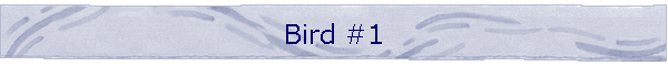 Bird #1