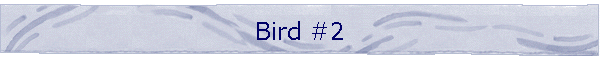 Bird #2
