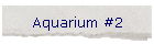 Aquarium #2
