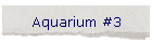 Aquarium #3