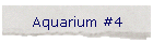 Aquarium #4
